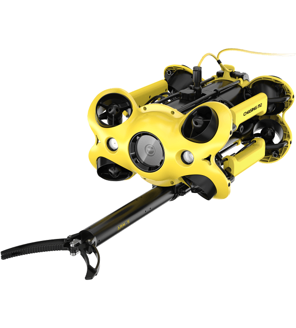Chasing Robot Kol